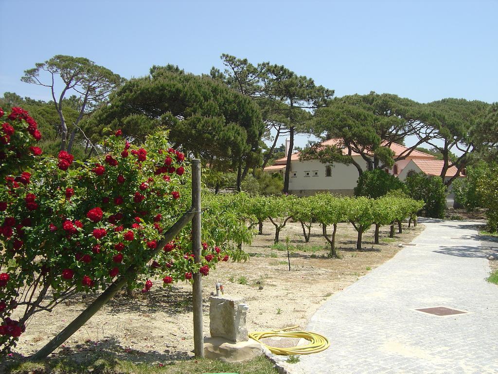 Solar Do Magoito Guest House Sintra Exterior photo